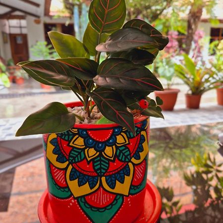 Hotel Country Club Eco Casajardin Moyobamba Zewnętrze zdjęcie