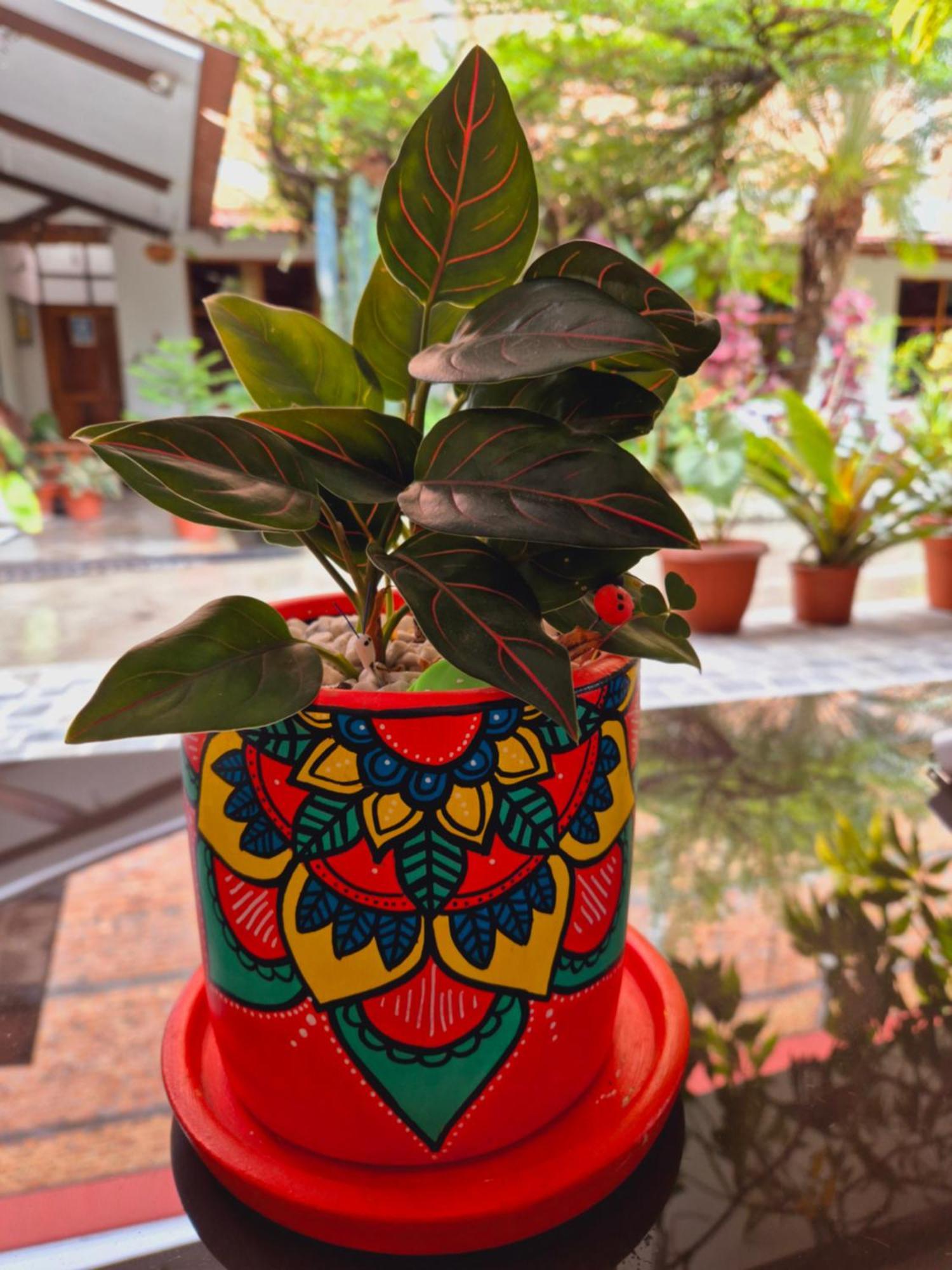 Hotel Country Club Eco Casajardin Moyobamba Zewnętrze zdjęcie